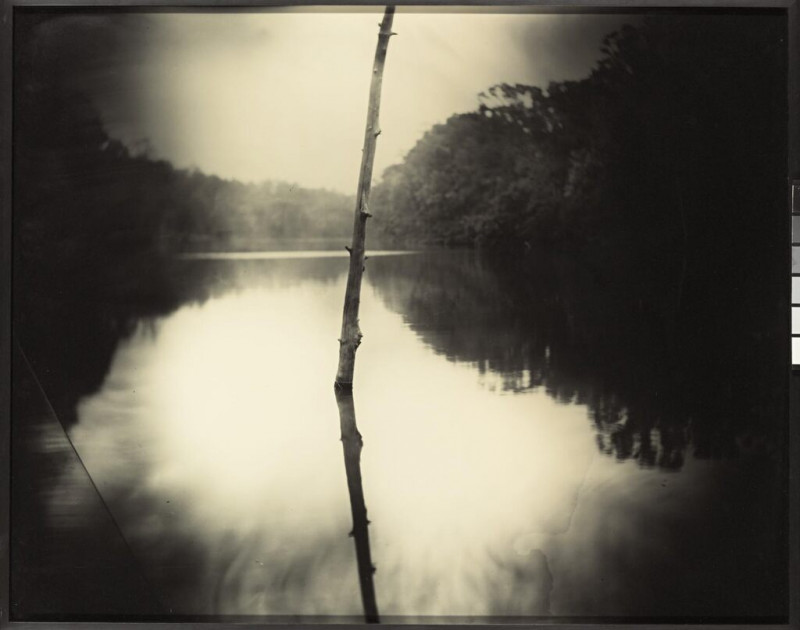 Untitled (Deep South #22) by Sally Mann Visioner Art | Welcome